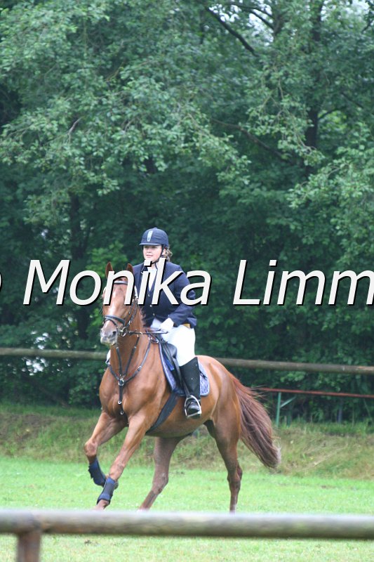 007M7667_Spring WB_E.JPG